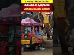 Kerala Elephant Video | யானைக்கு மதம் பிடித்ததால் பரபரப்பு | N18S