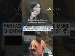 Man faces judge after chasing chicken onto military base