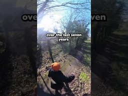 The joy of walking the London Loop