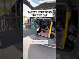 Safety Behaviors for the Car 🚗 #shorts
