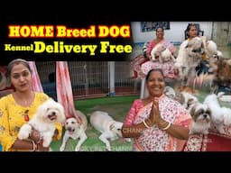 Looking for Low Price Puppies? Visit This Home Kennel in Kolkata! | Best Home Breed Dog Kennel