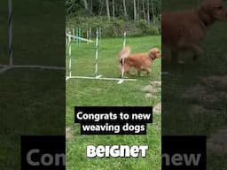 First time weaving 6 and 12 poles congrats April weavers