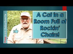 A Cat in a Room Full of Rockin' Chairs