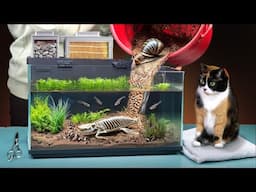 SWAMP IN THE AQUARIUM FROM THE FUTURE - DAY 189