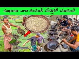 Makhana farming complete process | makhana farming | bmc facts | interesting Facts | Telugu facts