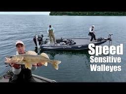 Walleyes Fast And Slow