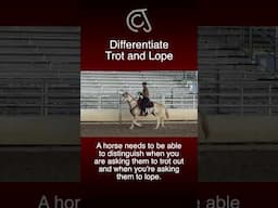 Differentiate the difference between asking for a lope and a trot. #horse #fyp #horseriding