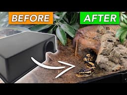How to Build a Custom NATURALISTIC Reptile Hide