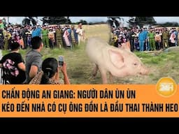 Chấn động An Giang: Người dân ùn ùn kéo đến nhà có cụ ông đồn là đầu thai thành heo