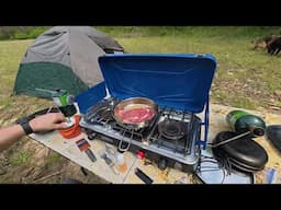 Camping adventure,  Almost rolled the truck and hit some deer.