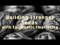 Grower's Guide: Building Stronger Seeds with Epigenetic Imprinting