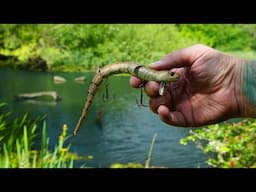 I Cast a SNAKE LURE Into a SWAMP and It Got DESTROYED!