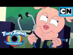Aptitude Test Results 📝  | Tiny Toons Looniversity | Cartoon Network