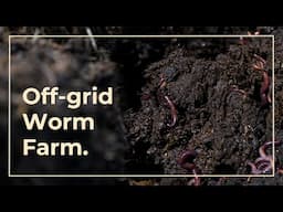 🪱 Uncovering the Power of Worm Tea 🪱 | PT 3 | GridFree