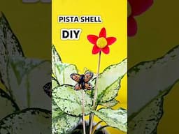 Cute Pista Shell Craft idea 😍 #diy #craft #wastematerialcraft #art