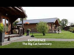 EXPERIENCE | The Big Cat Sanctuary
