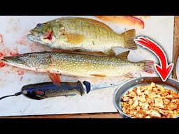 The Bass Fishing Community will HATE ME for this Catch n Cook...