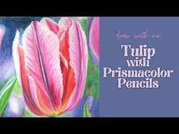 Drawing a Tulip with Colored Pencils