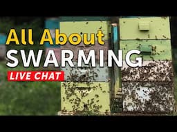 LIVE BEEKEEPING CHAT - All About Swarming