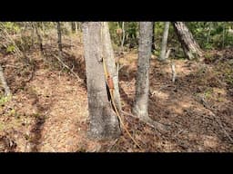 CHEAP!!! Turkey hunting  Seat!!