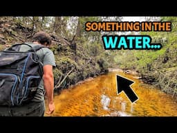 We Found INCREDIBLE Relics in My Favorite Creek... Then We Were FORCED To Leave!