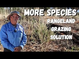 From Crisis to Thriving: Regenerative Grazing in Outback NSW