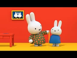 How tall is Miffy? | Miffy | Cartoons for kids