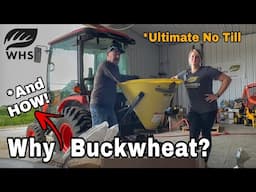 Ultimate Buckwheat No Till Planting 2025