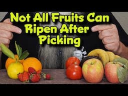 Fruits That DO & DON'T Ripen after Picking & Why