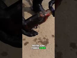 Is That BLOOD Inside the Bottle? [VOODOO RITUAL]