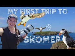 My first trip to Skomer, wasn't what I expected.