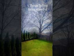 5 Things To Stop Being scared of