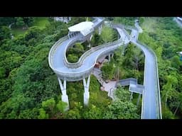 GLOBALink | Exploring urban treetop walkway in China's Fuzhou