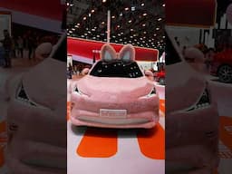 China’s Tesla Model 3 & Y Competitor is HERE!