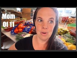 HUGE Grocery Haul - Can I stay in budget???