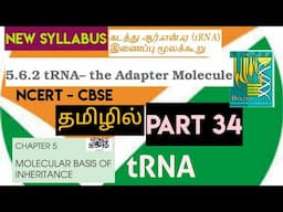 class 12 bio ncert line by line | molecular basis  (part 34)| tRNA adopter molecule