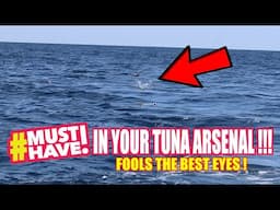 BEST TUNA LURE 2025  FOOLS THE BIRDS !! STERLING TACKLE