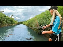 We Tried Crazy FISHING EXPERIMENTS with INTERESTING RESULTS...  (Really Weird)