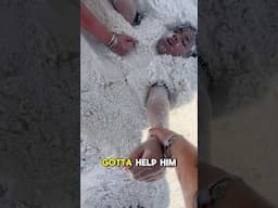 Buried he got stuck😭😱 #pt2 #shorts #viralvideos