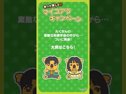 ロッテ コアラのマーチ「作って推してマイコアラ 大賞発表」篇