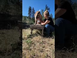 Simple Life: Milking Goats in the Mountains #simplelife #farmlifeusa #pnw