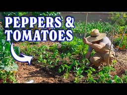 How I Transition A Garden Bed From Season To Season | Start To Finish