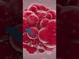 The first cancer causing virus was discovered in which animal? Fact-checking episode 9