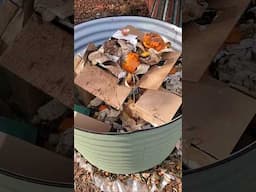 Home Composting Tools #homesteading #garden #gardening #homestead #compost #composting