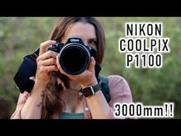 Nikon P1100 Review - Is this Your Super Zoom for Birds, Wildlife, and Portraits?