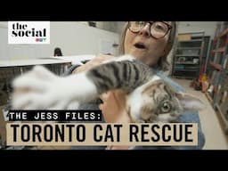 Jess Visits The Toronto Cat Rescue | The Social