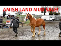 AMISH MUD SALE...Rawlinsville Volunteer Fire Company's Annual Mud Sale, Rawlinsville, Pennsylvania