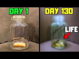 I Put Bread In a Jar...It Came Alive
