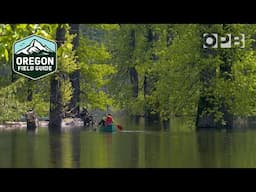 Exploring Washington’s mysterious disappearing lake | Oregon Field Guide