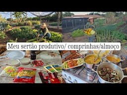 Rotina da tarde/ a horta está linda e produtiva/comprinhas/ nosso almoço